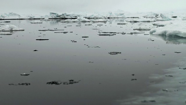 T/L WS浮冰在水/池塘入口，努勒维特，加拿大视频素材