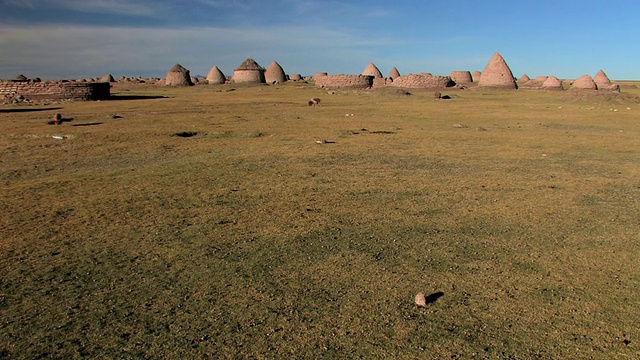 玻利维亚奥鲁罗阿塔瓦尔帕的WS PAN Altiplano，奇帕亚人的锥形住宅，野猪在田野里行走视频素材