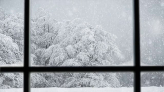 全高清PAL -雪落场景无缝循环视频下载