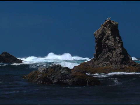 门多西诺岩石和海浪视频素材