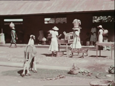 1936年10月蒙太奇镇市场，摊贩在露天市场卖水果和蔬菜，两名男子走过停着的猪车/西印度群岛视频下载