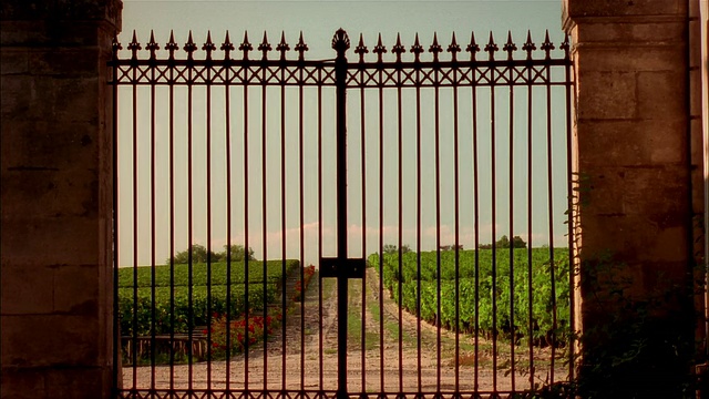 在法国格雷夫斯的奥布里昂城堡(Chateau haot - brion / Pessac)，从地面向上俯瞰葡萄园的大门视频素材