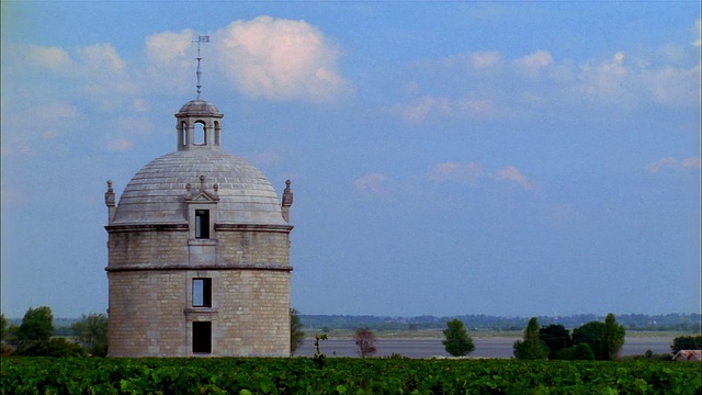 法国梅多克吉伦德(Gironde) /波亚克(Pauillac)河畔拉图城堡(Chateau Latour)葡萄园的圣兰伯特塔(Tower of Saint-Lambert)被封锁视频素材