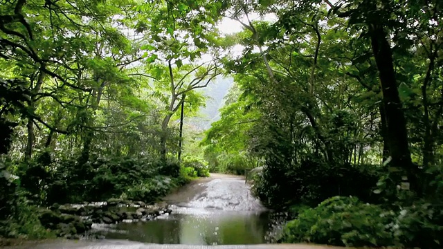 WS POV T/L汽车通过威皮奥镇和路边的房子/威皮奥，威皮奥山谷，夏威夷，美国视频素材