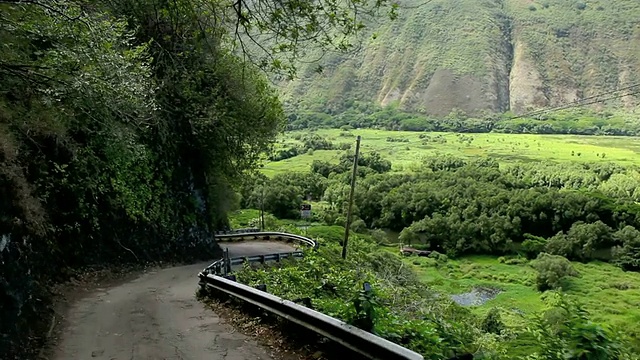 WS POV T/L汽车去Waipio山谷/ Waipio，夏威夷，美国视频素材