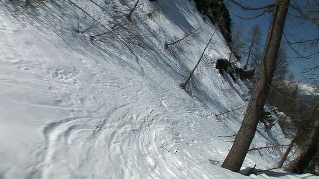 HD:在森林中滑雪视频素材