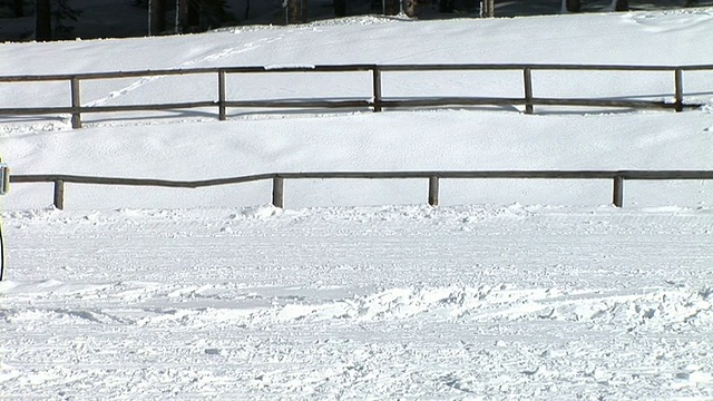 HD:越野滑雪视频素材