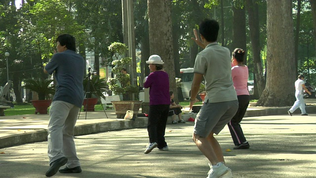 MS集团在越南胡志明市城市公园练习太极视频素材