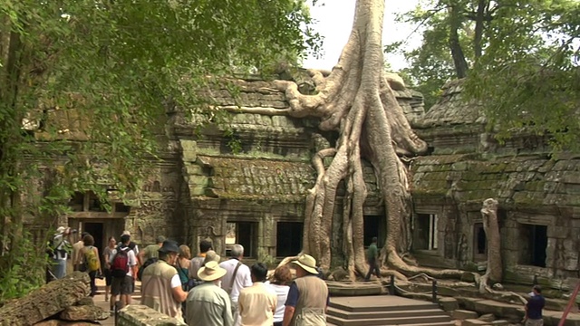 柬埔寨塔普伦寺(Ta Prohm Temple)的ZI树生长在建筑上视频素材