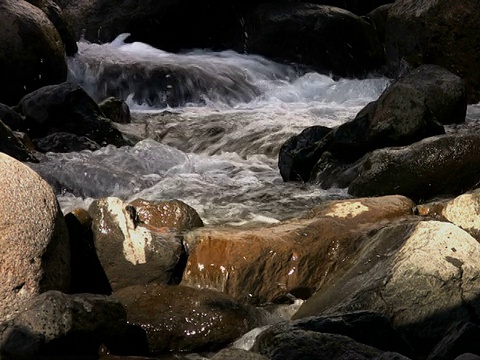 朋友:高山流水视频素材