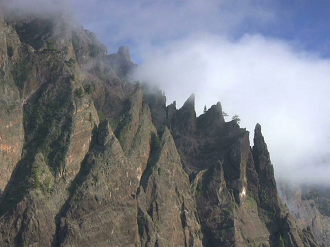 朋友:野生山视频素材