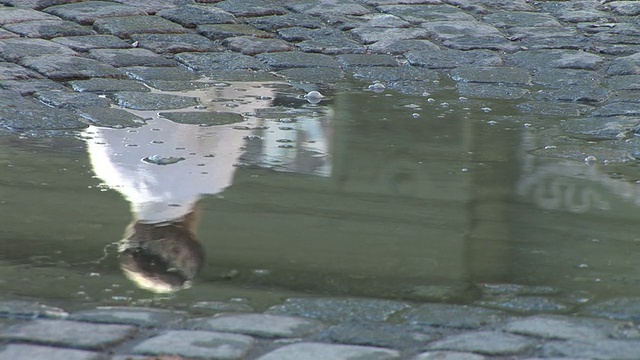 高清:水坑里的倒影视频素材