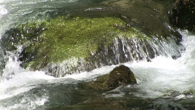 高清:河急流视频素材