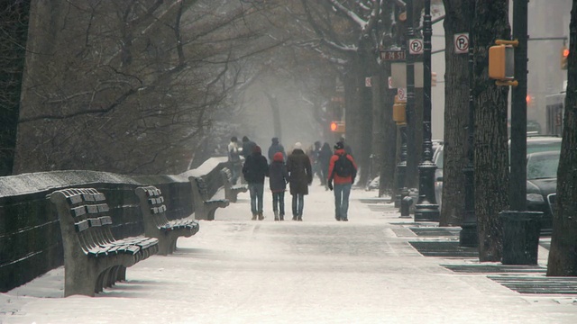 美国纽约，人们在中央公园的雪中行走视频素材