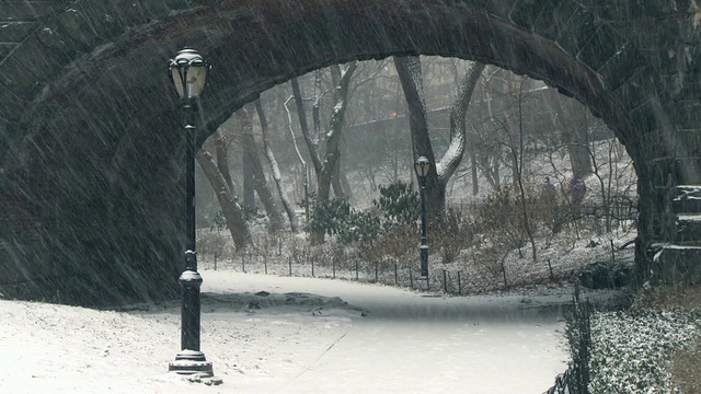 雪中中央公园的桥和灯/纽约，美国视频素材