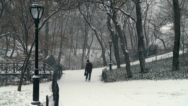 美国纽约，在中央公园的雪路上行走的人视频素材