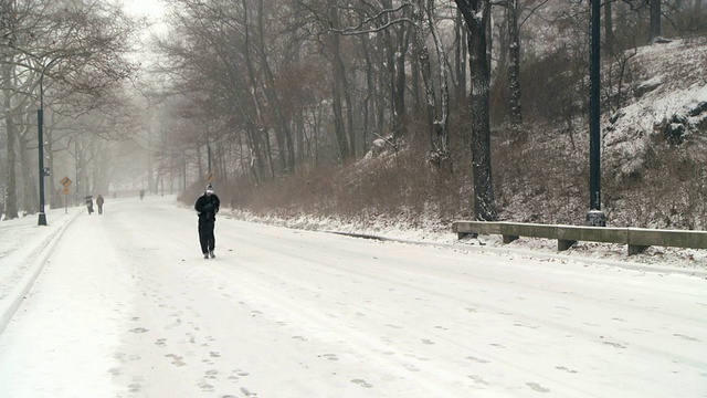 美国纽约，一名男子在暴风雪期间跑上中央公园的小山视频素材