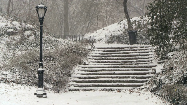 在下雪期间中央公园的雪楼梯/纽约，美国视频素材