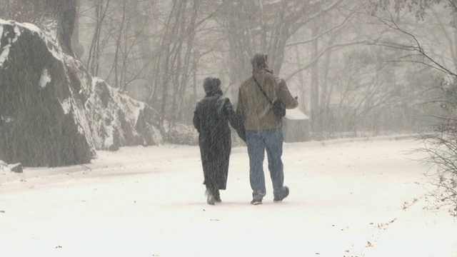 WS ZO夫妇在中央公园散步在暴风雪/纽约，美国纽约视频素材