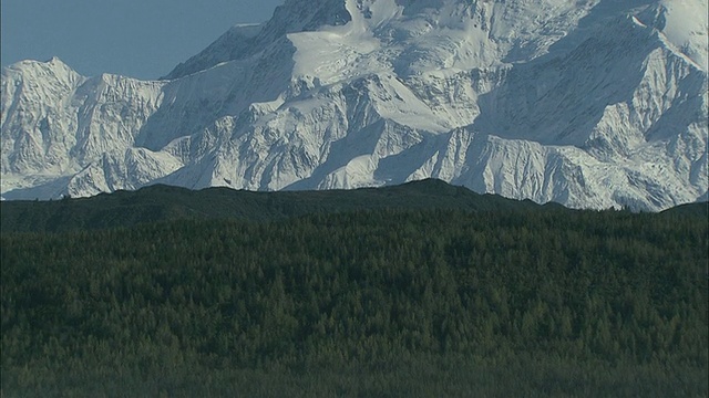 空中的雪覆盖的山峰在一片茂密的常绿森林之上升起，接壤平静的水域/阿拉斯加，美国视频素材