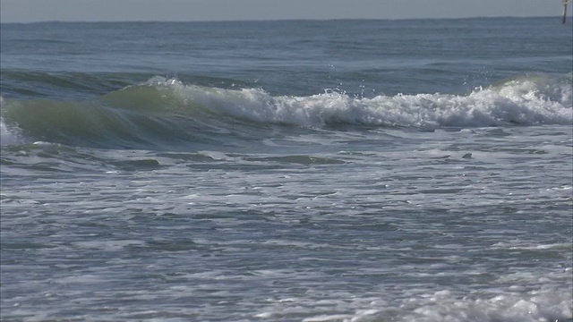 PAN Ocean waves / Myrtle Beach，南卡罗来纳州，美国视频素材