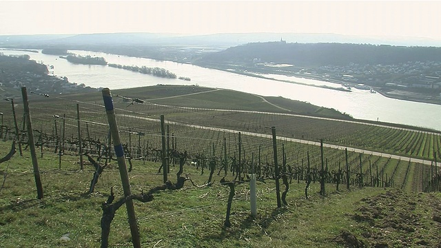 从Niederwald-Monument观看莱茵谷景观/ RÃ¼desheim, Hesse，德国视频素材