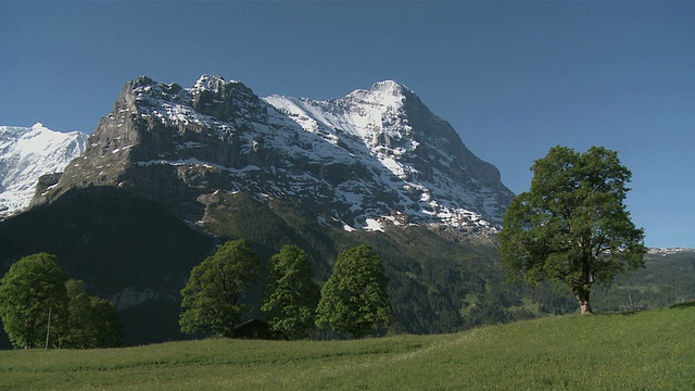 瑞士伯恩斯阿尔卑斯山Wetterhorn山/ Grindelwald的格林德沃全景视频素材