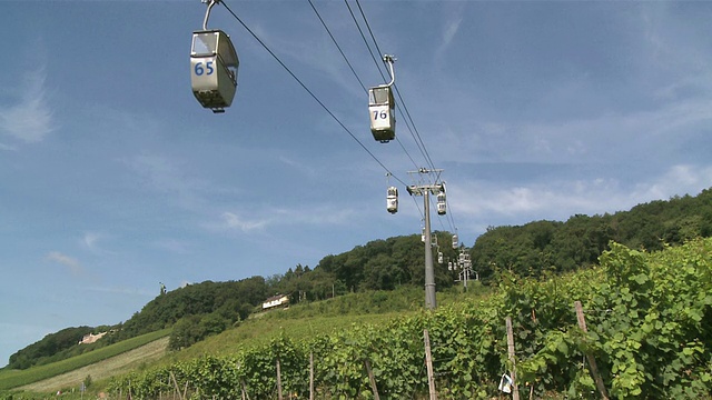 在德国莱茵兰-普法尔茨的莱茵谷(Rhine-Valley)，可以乘坐高空缆车欣赏尼德瓦尔德附近RÃ¼desheim的葡萄园景色视频素材