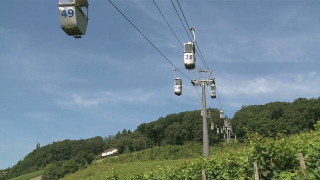 德国莱茵兰-普法尔茨莱茵谷(Rhine-Valley)， RÃ¼desheim附近的葡萄园景观视频素材