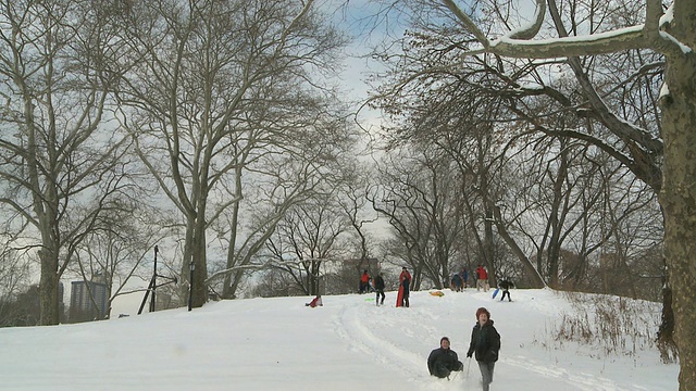 儿童在中央公园的雪橇在冬天/纽约城市，美国视频素材