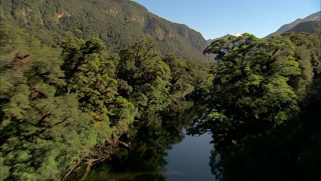 低空中，河，峡湾国家公园，新西兰视频素材