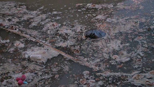 水污染:河流的灾难性状况视频素材