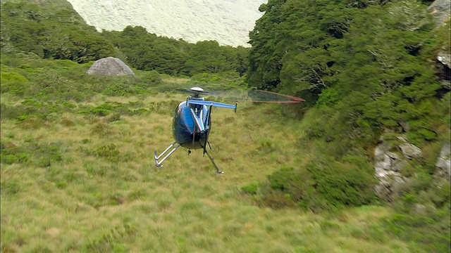 空对空，直升机在湖和森林上空飞行，峡湾国家公园，新西兰视频素材