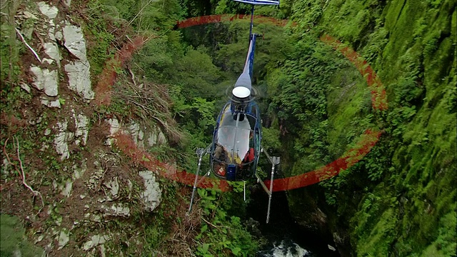 空对空，直升机在森林和山河上空飞行，峡湾国家公园，新西兰视频素材