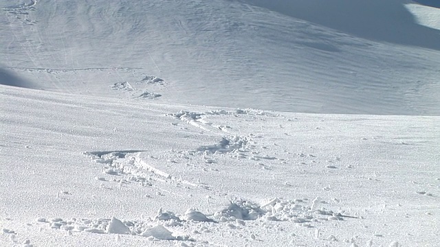 高清:极端滑雪视频素材