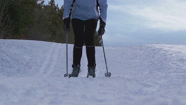 越野滑雪视频下载