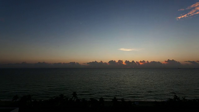 T/L日出在大西洋海滩和棕榈树的前景/迈阿密，佛罗里达视频素材