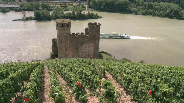 德国黑森市RÃ¼desheim /莱茵谷附近的Ehrenfels城堡遗址视频素材