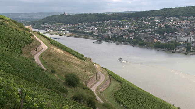 德国黑森RÃ¼desheim /莱茵谷附近的葡萄园景观视频素材