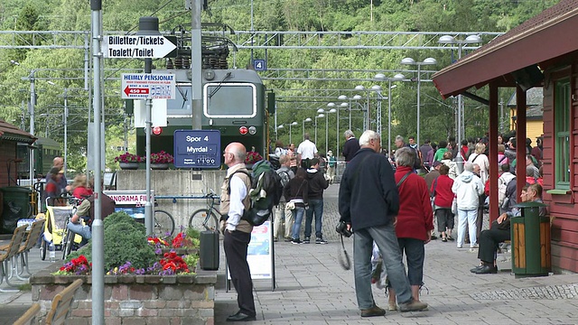 WS View of FlÃ¥msbana railway / FlÃ¥m,Sogn og Fjordane，挪威视频素材