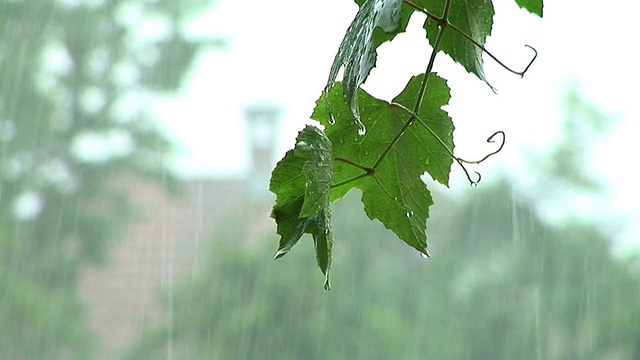 高清:暴风雨天气视频素材