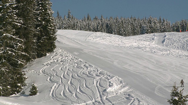 德国巴登-符腾堡黑森林冬季在Schauinsland滑雪的WS滑雪者视频素材