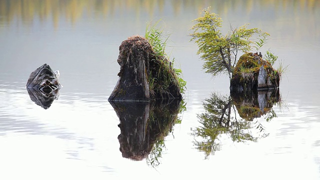 高清岩石在湖中反射视频素材