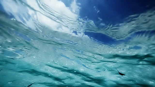 从水下看天空视频素材