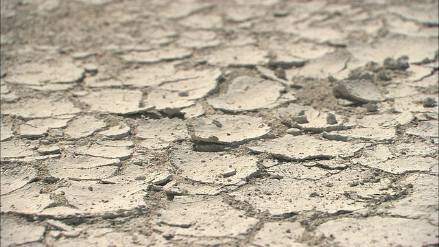 非洲博茨瓦纳喀拉哈里沙漠干燥龟裂的土地视频素材