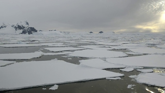 黄昏时浮冰在海水中漂浮/南极圈，南极洲视频素材