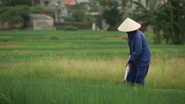 农民在耕地视频素材