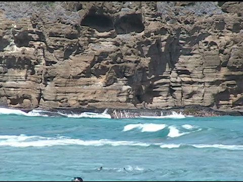 瓦胡岛哈瑙马湾的浮潜者。视频素材