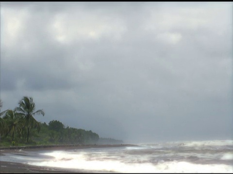 暴风雨的海滩(NTSC)视频素材