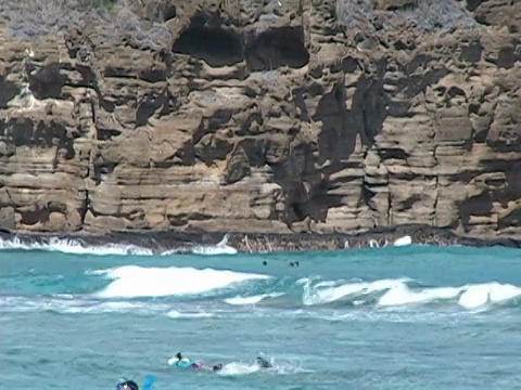 瓦胡岛哈瑙马湾的浮潜者视频下载